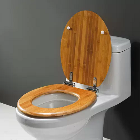 ergonomic toilet seat cost - Billion.png